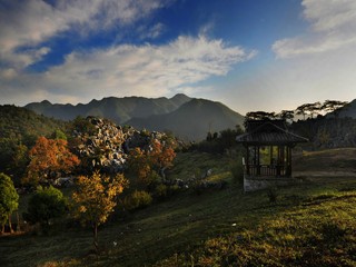 千岛湖石林