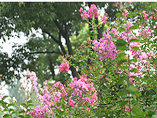 上海东方绿舟_青浦上海东方绿舟门票价格_图