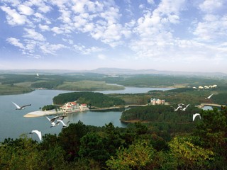 白鹭岛全景图s.JPG