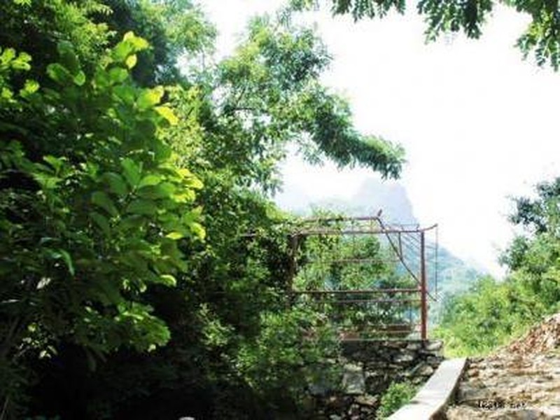 白蛇谷风景区门票预订