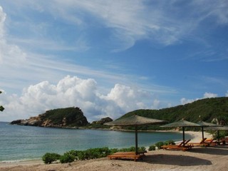 面朝大海