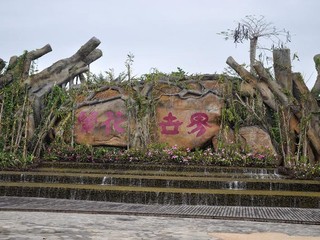 兰花世界1