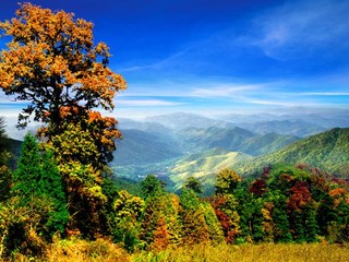 浙西天目山