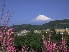 上海到[日本本州6日]豪华双温泉，全新增加日本
