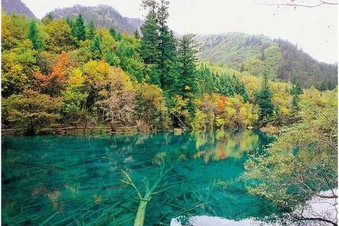 厦门出发-成都-九寨沟-黄龙4飞4日游 九寨之美