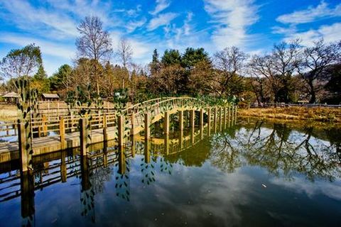 韩国-首尔-江原道双飞4晚5日游 深圳去 香港返