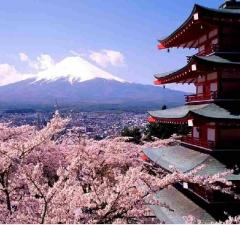上海到[大阪-京都-箱根-东京6日]全程五星，