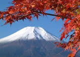 春节日本旅游