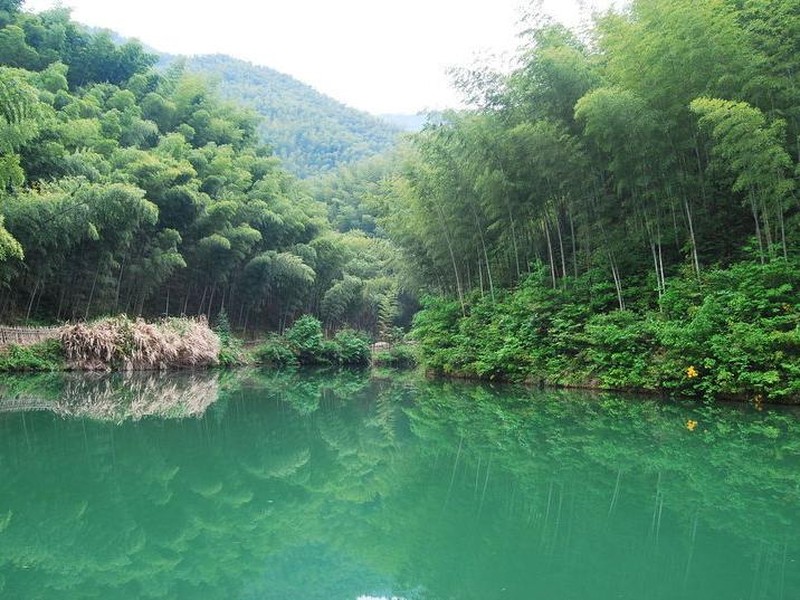 木坑竹海